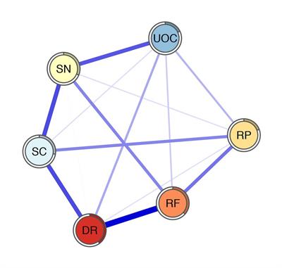 The Network Structure of Decision-Making Competence in Chinese Adults